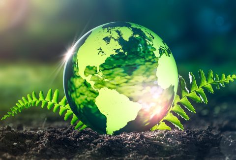 AdobeStock_421805105_Planetary_biology_WP