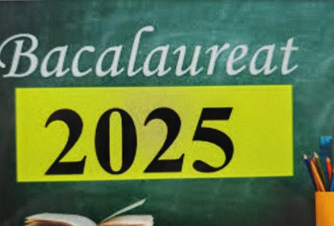 baca-scaled-e1749545177789